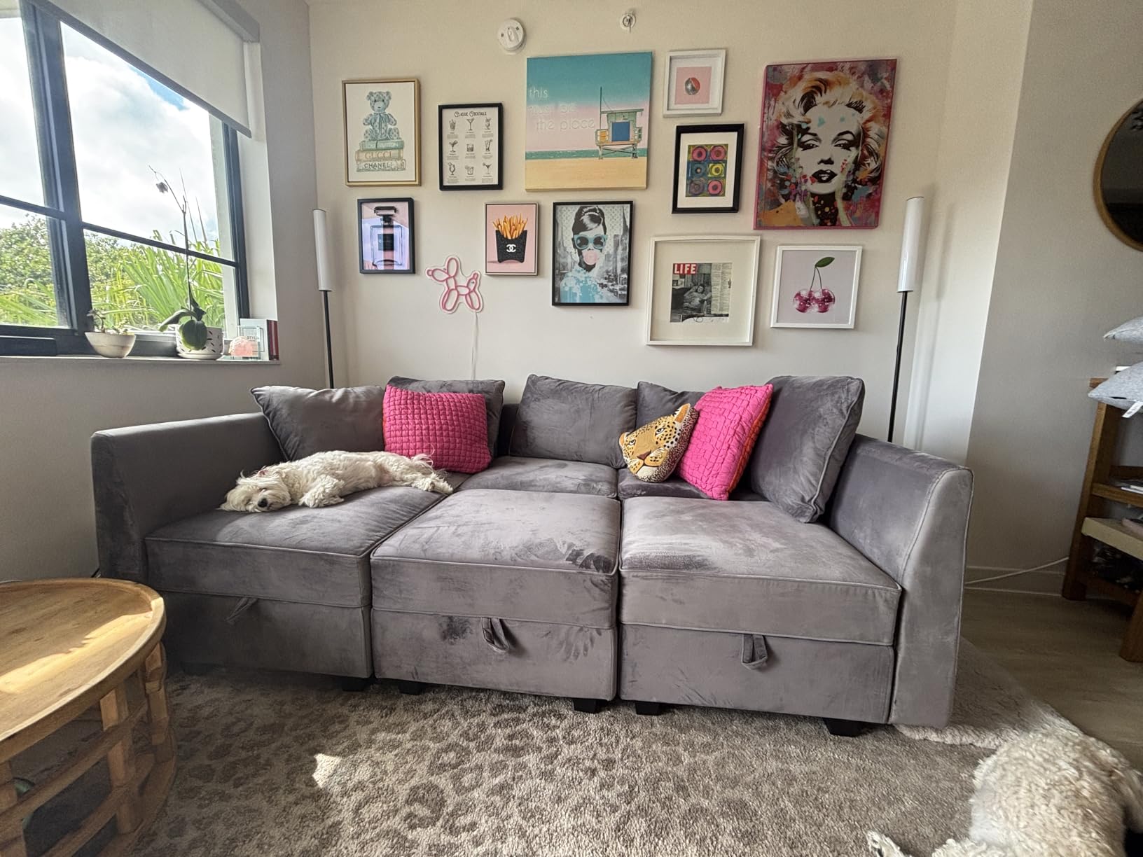 HONBAY Modular Sectional Couch L Shaped Sofa with Storage, Black | Velvet Pet-friendly Fabric, Convertible Sectional Couches for Living Room, Easy to assemble, Removable Cushion customer photo 1