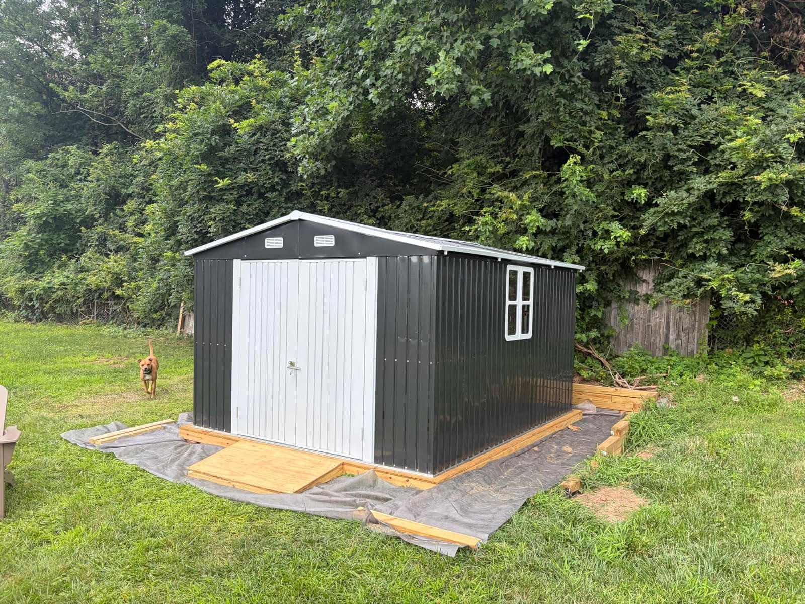 AMERLIFE 10x21x7.3 FT Metal Garage Shed with Double Hinged Doors, 4 Windows | Extra Large Outdoor Storage Shed, Heavy Duty Carport for Cars, Midsize SUVs, Bikes and Equipment Storage, Dark Gray customer photo 1