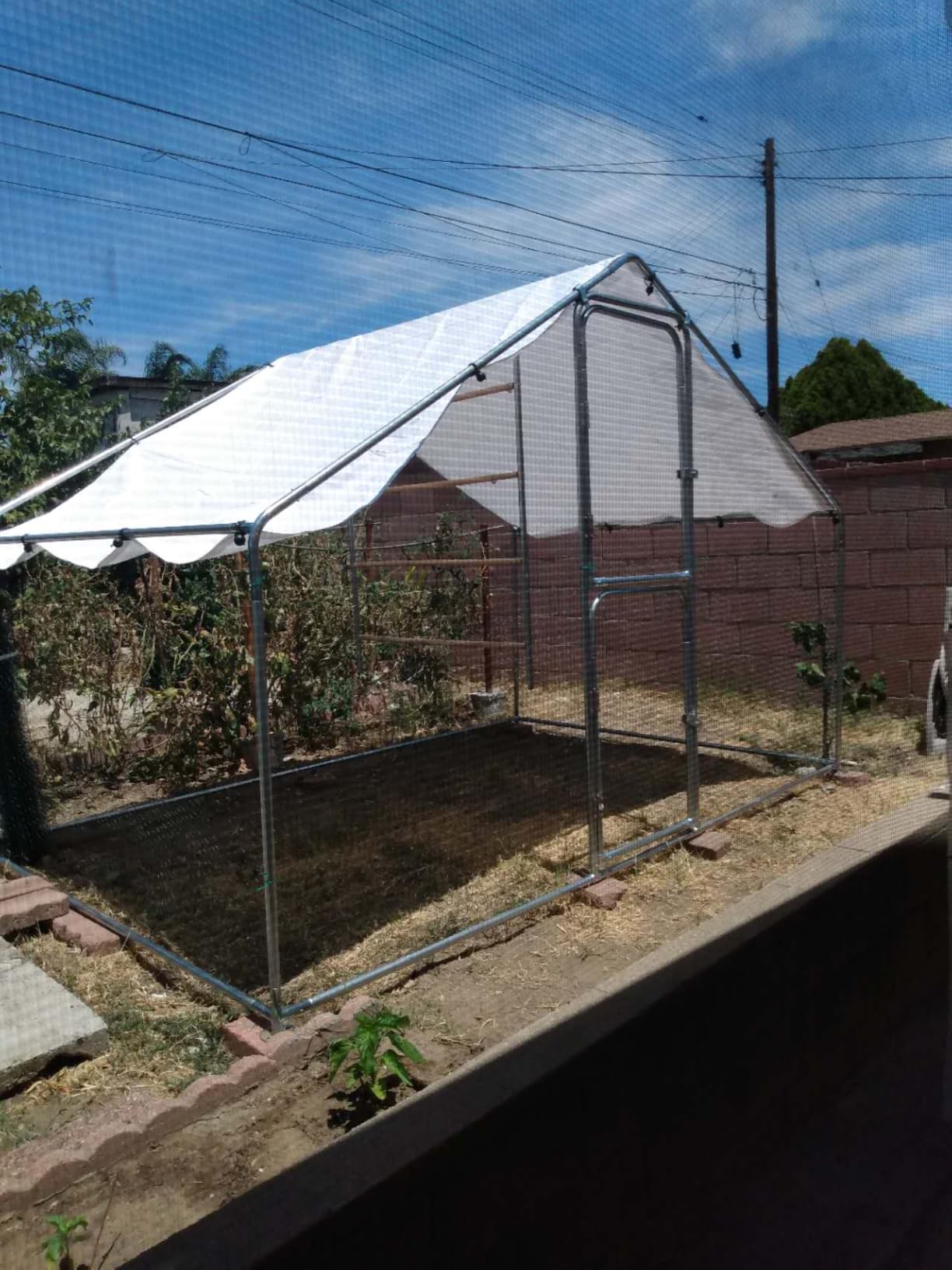 Walk-in Chicken Coops 10 x 20 Large Metal Chicken Runs with Roosting Perch | For 20-30 Chickens, Weather Resistant Heavy Duty Frame, Waterproof Hardware Cloth Cover, Poultry Cage with Split Door customer photo 1