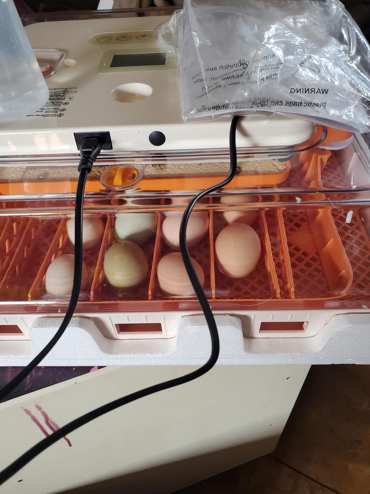 Egg Incubator 56 Eggs Incubators for Hatching Eggs with Auto Egg Turner for Chicken Duck Goose Eggs customer photo 1