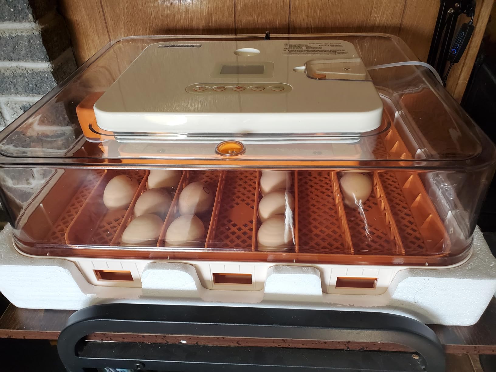 Egg Incubator 56 Eggs Incubators for Hatching Eggs with Auto Egg Turner for Chicken Duck Goose Eggs customer photo 2