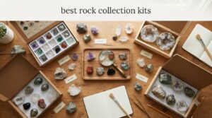 best rock collection kits
