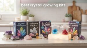 best crystal growing kits