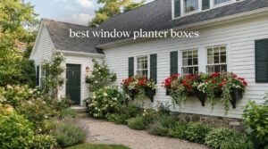 best window planter boxes
