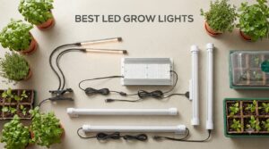 best led grow lights