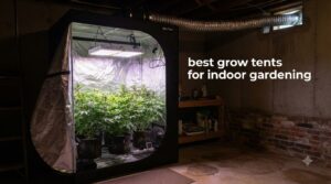 best grow tents for indoor gardening