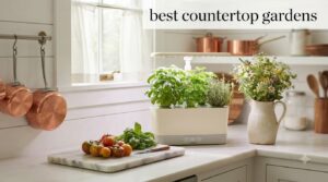 best countertop gardens