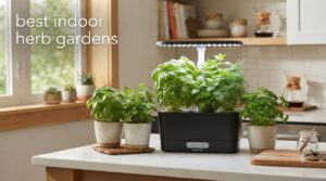 best indoor herb gardens