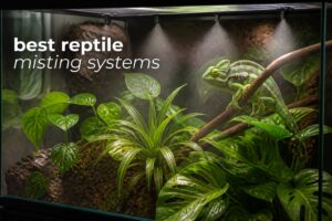 best reptile misting systems