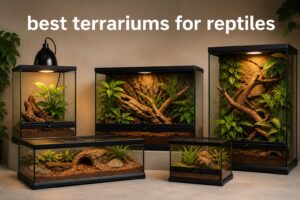best terrariums for reptiles
