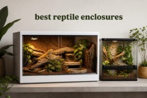 best reptile enclosures