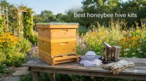 best honeybee hive kits