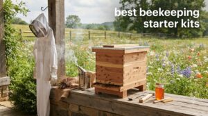best beekeeping starter kits