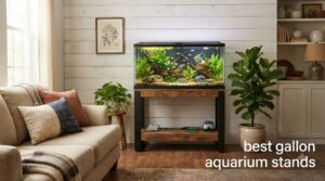 best 55 gallon aquarium stands