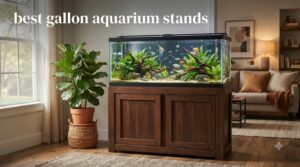 best 75 gallon aquarium stands