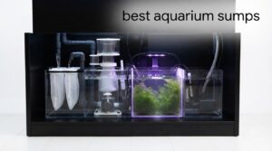 best aquarium sumps