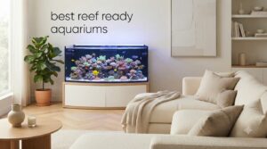 best reef ready aquariums