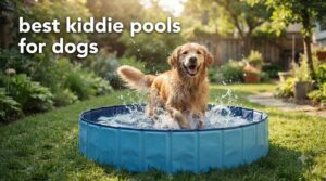best kiddie pools for dogs