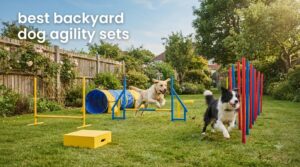 best backyard dog agility sets