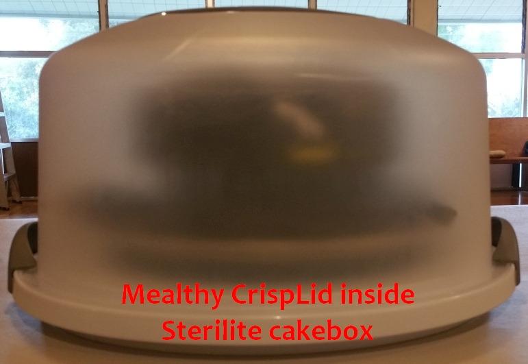 Sterilite Cake Server Circular Serving Container White customer photo 2