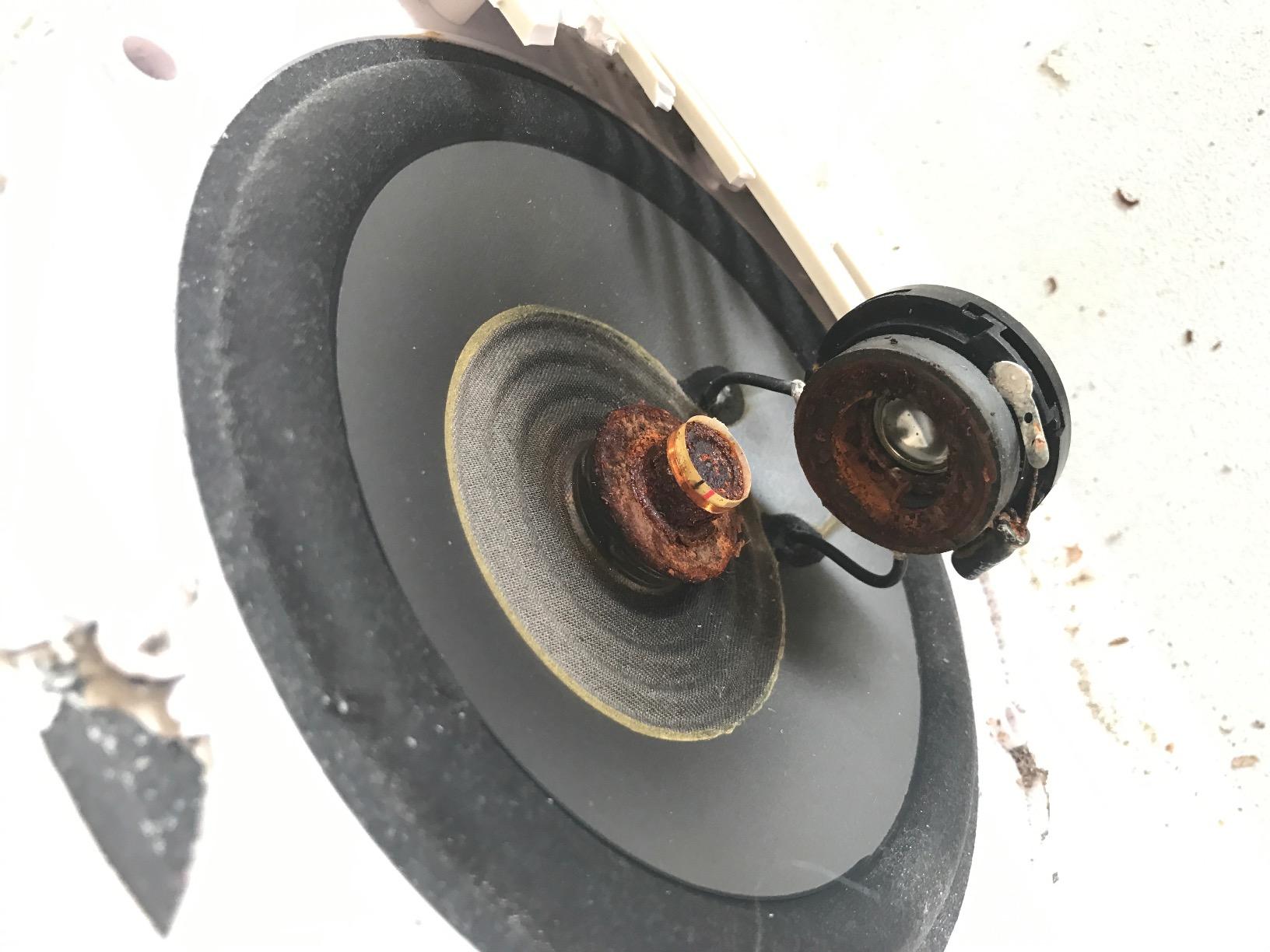 BOSS Audio Systems MR60W 6.5 Inch Marine Speakers (Pair), Full Range, 2 Way customer photo 1