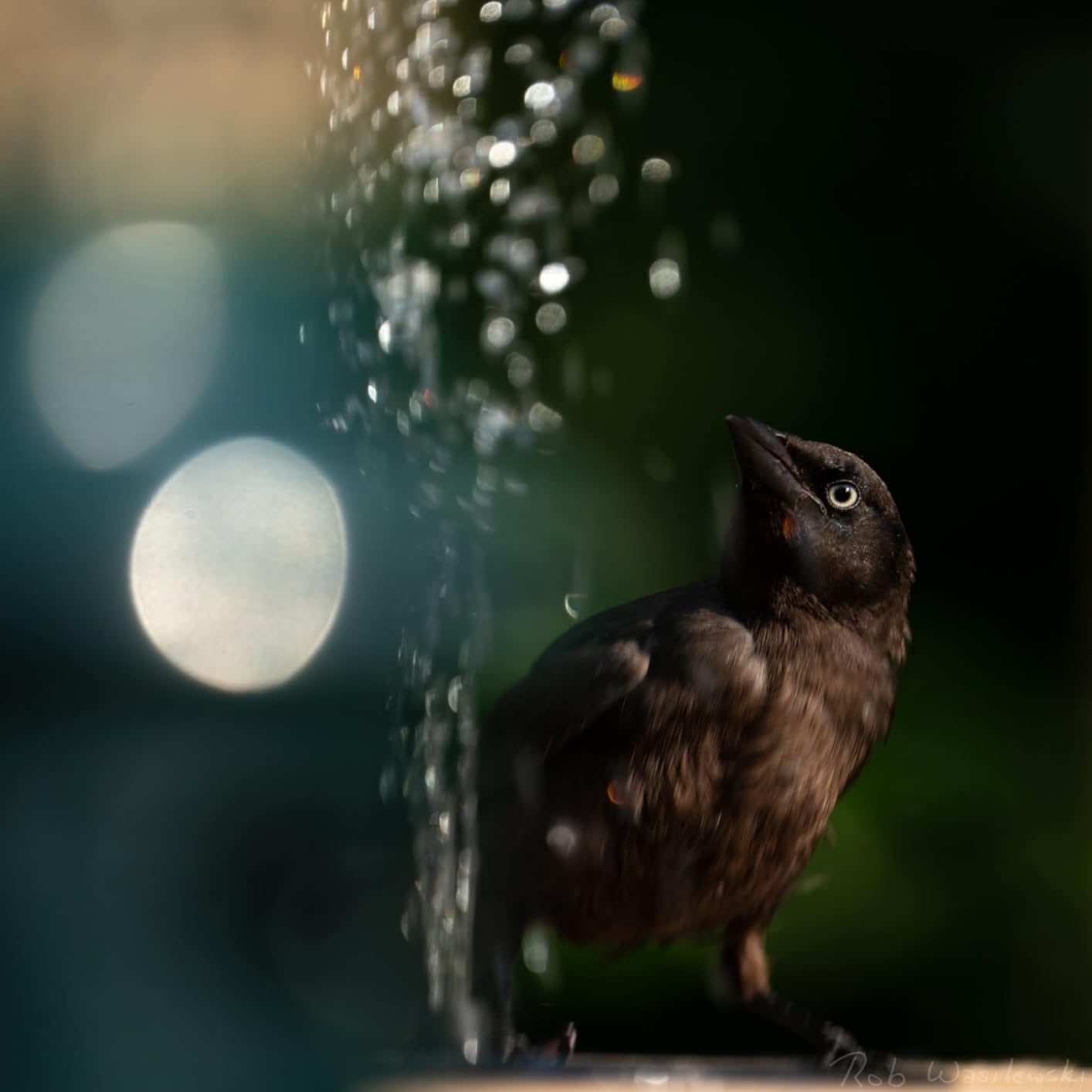 Allied Precision Industries (650) Heated Bird Bath with Mounting Bracket, Light Stone Color, 20