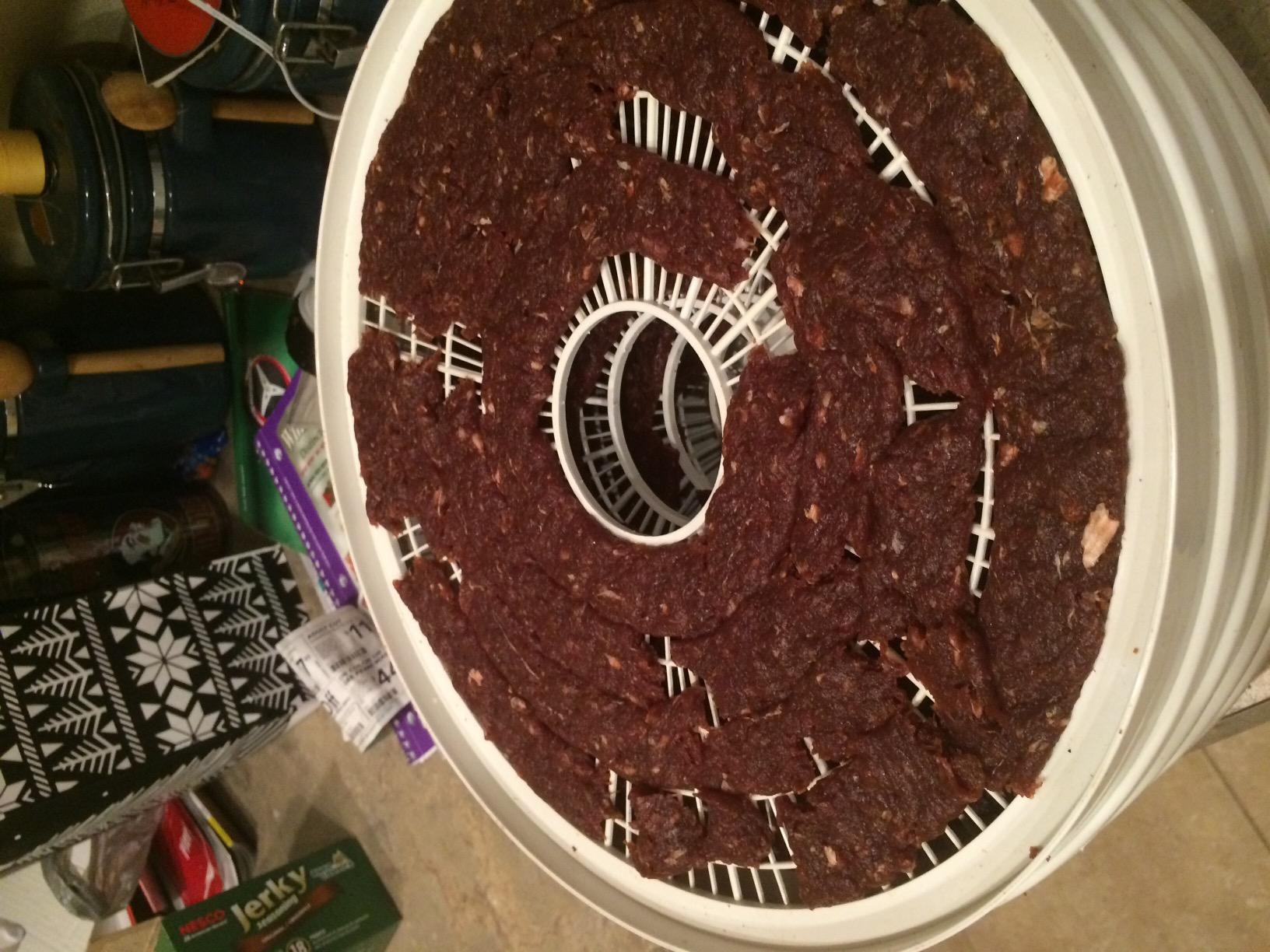 Nesco FD-28JX JerkyXpress Food Dehydrator with Accessories for Beef Jerky, 4 Trays, White customer photo 2