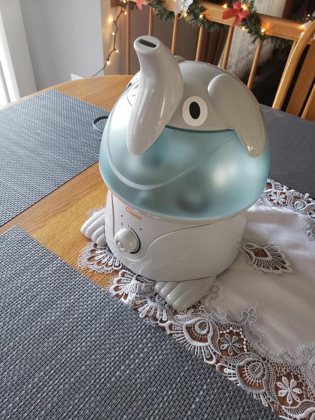 Crane Ultrasonic Cool Mist Animal Humidifier for Kids Bedroom and Nursery, 1 Gallon Easy Clean, Adjustable Settings, Frog Humidifier customer photo 1