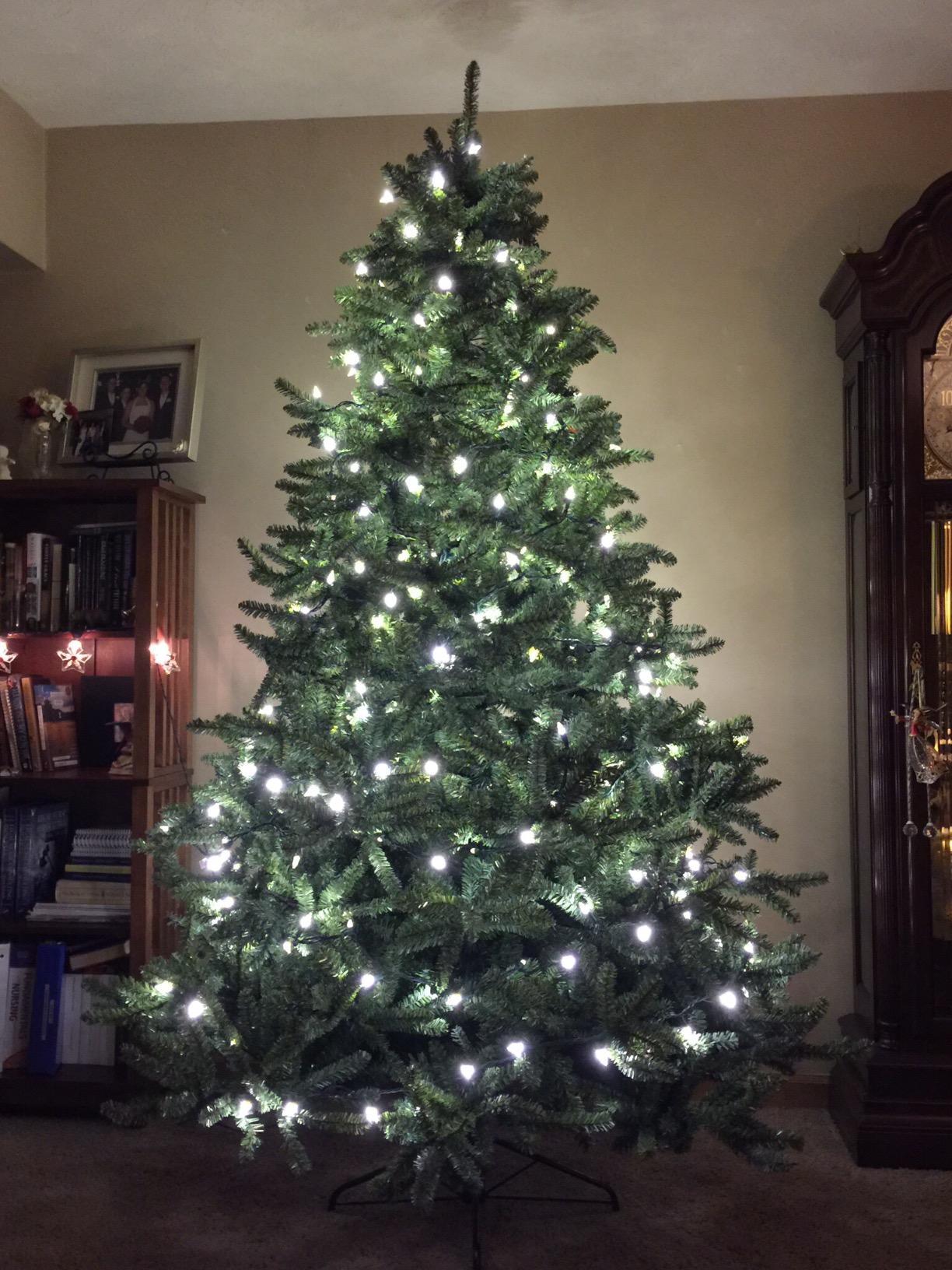 Balsam Hill 6.5ft Unlit Classic Blue Spruce - Artificial Christmas Tree with 2,144+ Tips, Premium Stand & Easy Assembly for Indoor Holiday Decorating customer photo 1