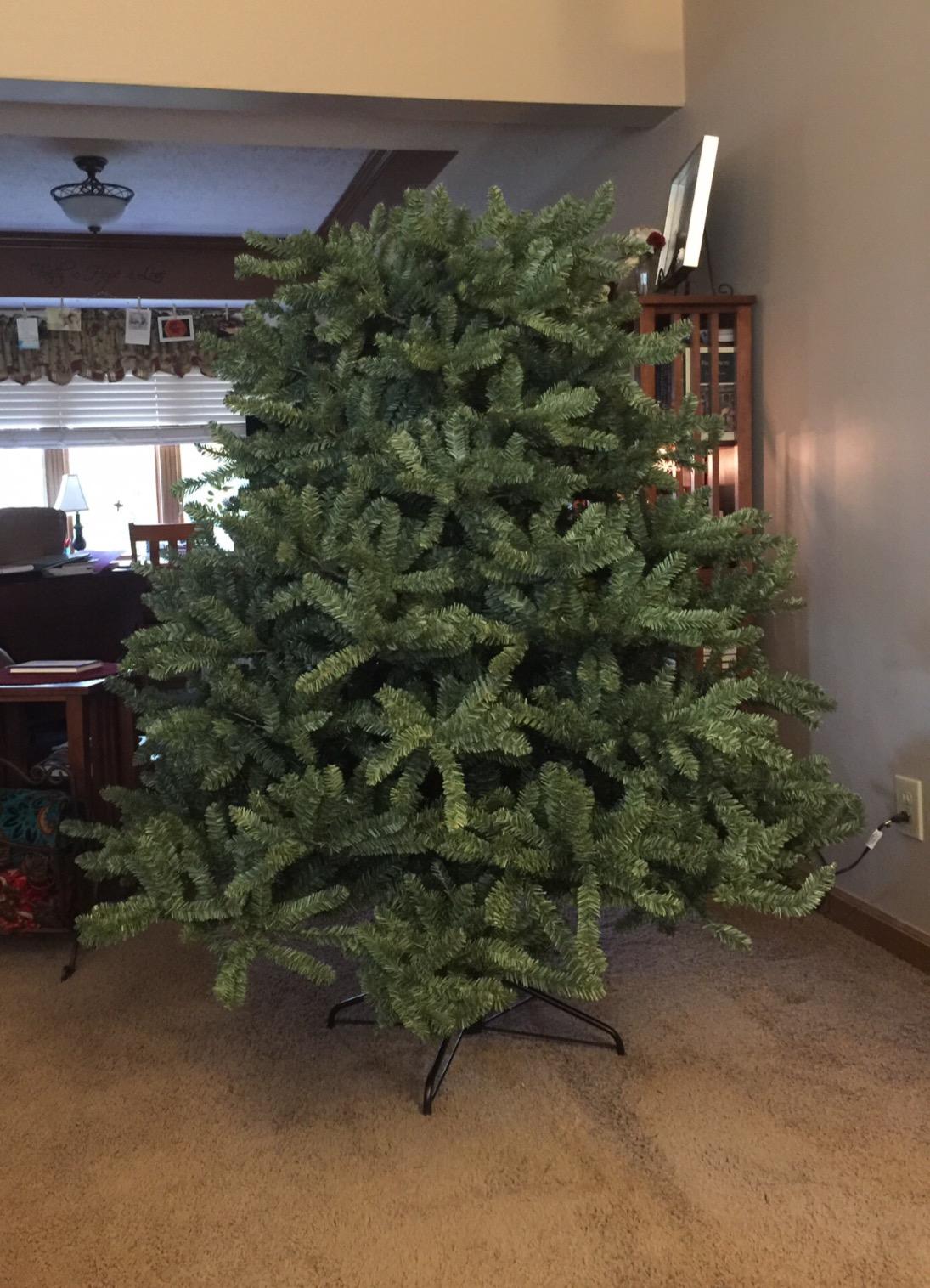 Balsam Hill 6.5ft Unlit Classic Blue Spruce - Artificial Christmas Tree with 2,144+ Tips, Premium Stand & Easy Assembly for Indoor Holiday Decorating customer photo 2