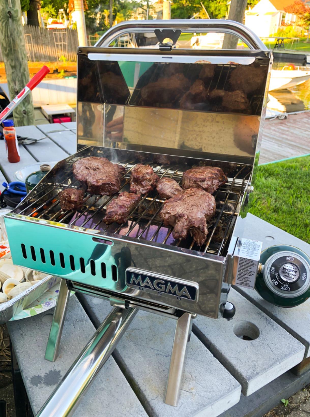 Magma Products, TrailMate Connoisseur Series Gas Grill, A10-801, Multi, One Size customer photo 2
