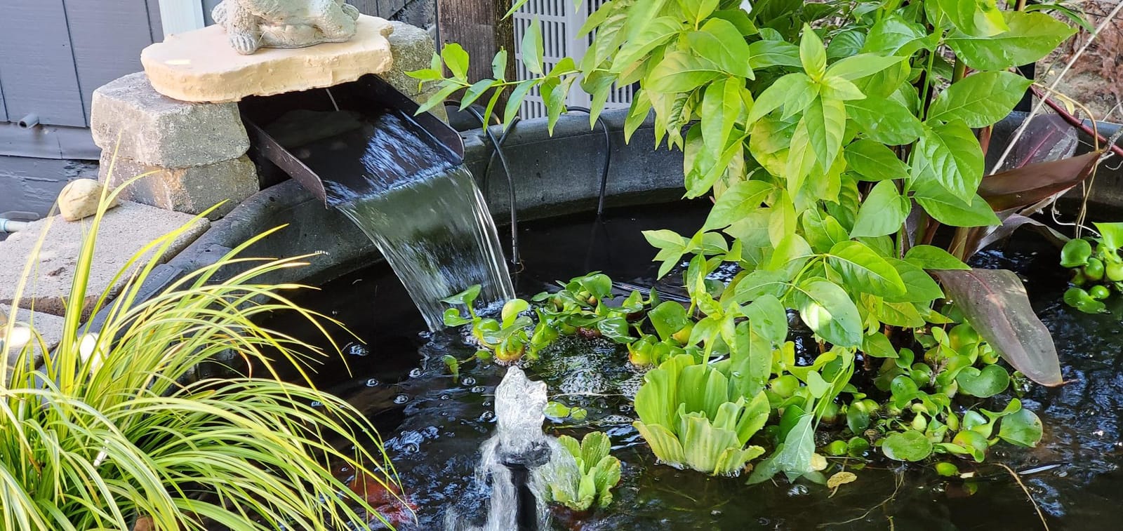 Danner Manufacturing, Inc., ProLine Pro1000 Pond Waterfall Box, 02477 customer photo 2