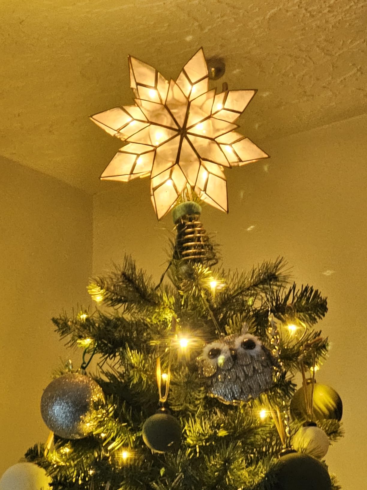 Kurt Adler UL 10L Capiz Clear Star Treetop customer photo 2