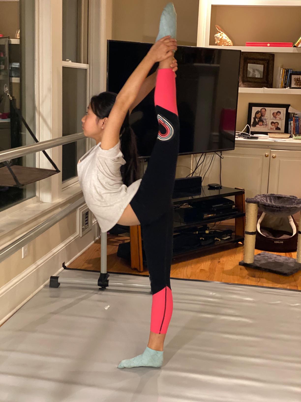 VITA Barre Portable Freestanding Double Ballet Barre, Prodigy, Aluminum | Adjustable Height, USA Made, Home or Gym Exercise Equipment for Kids & Adults | Dance, Fitness, Pilates customer photo 2