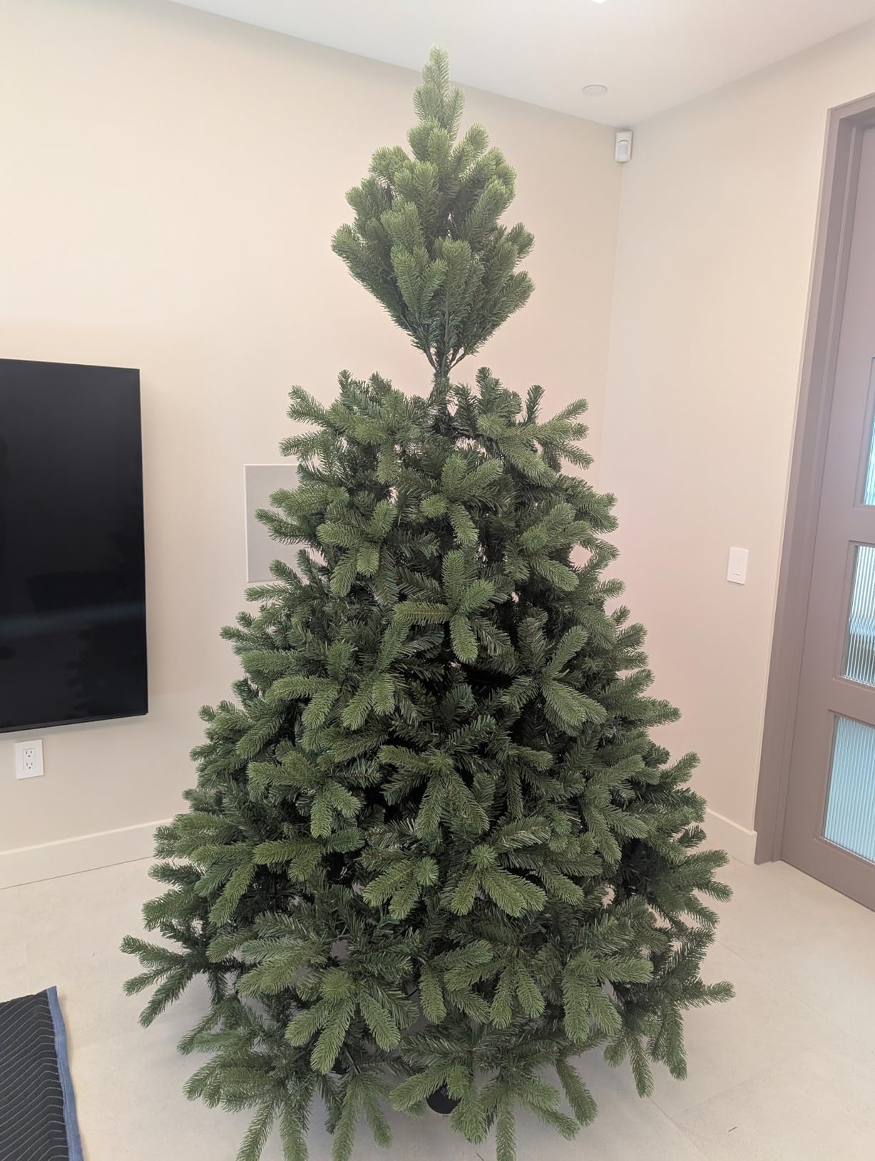 National Tree Company 7.5ft Unlit Downswept Douglas Fir Christmas Tree customer photo 1
