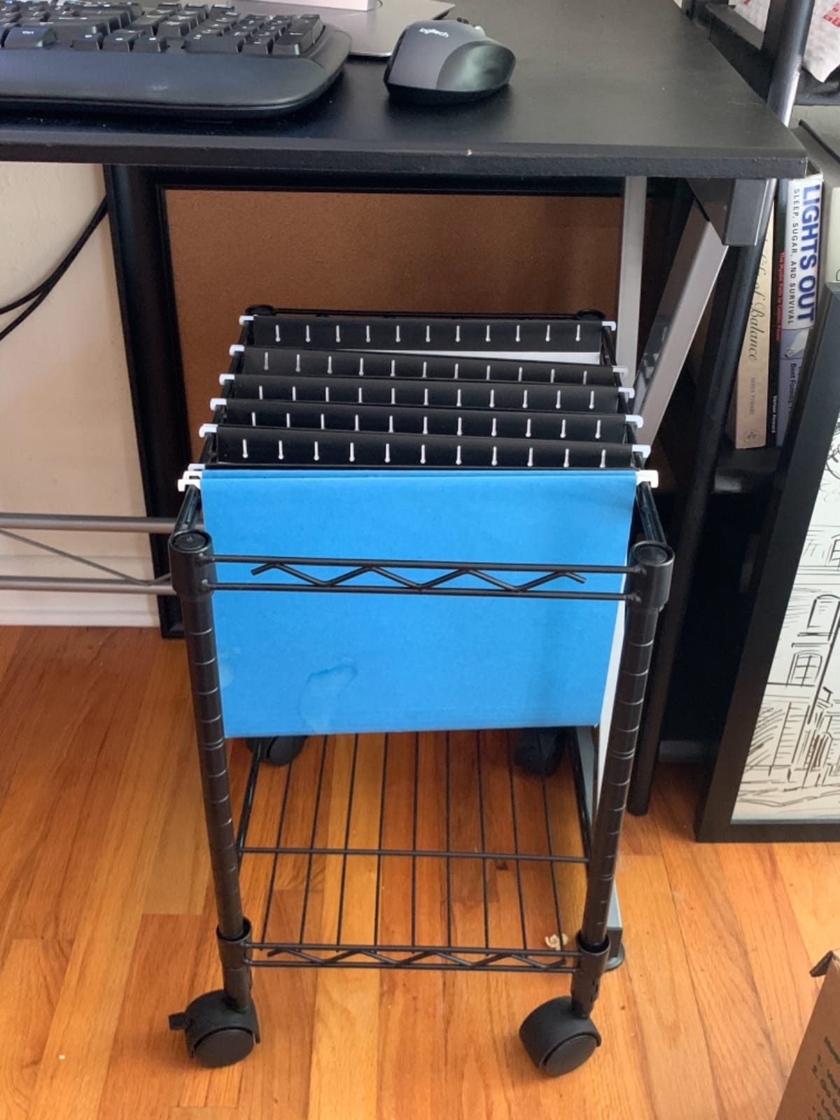 LYS Mobile Wire Filing Cart customer photo 2