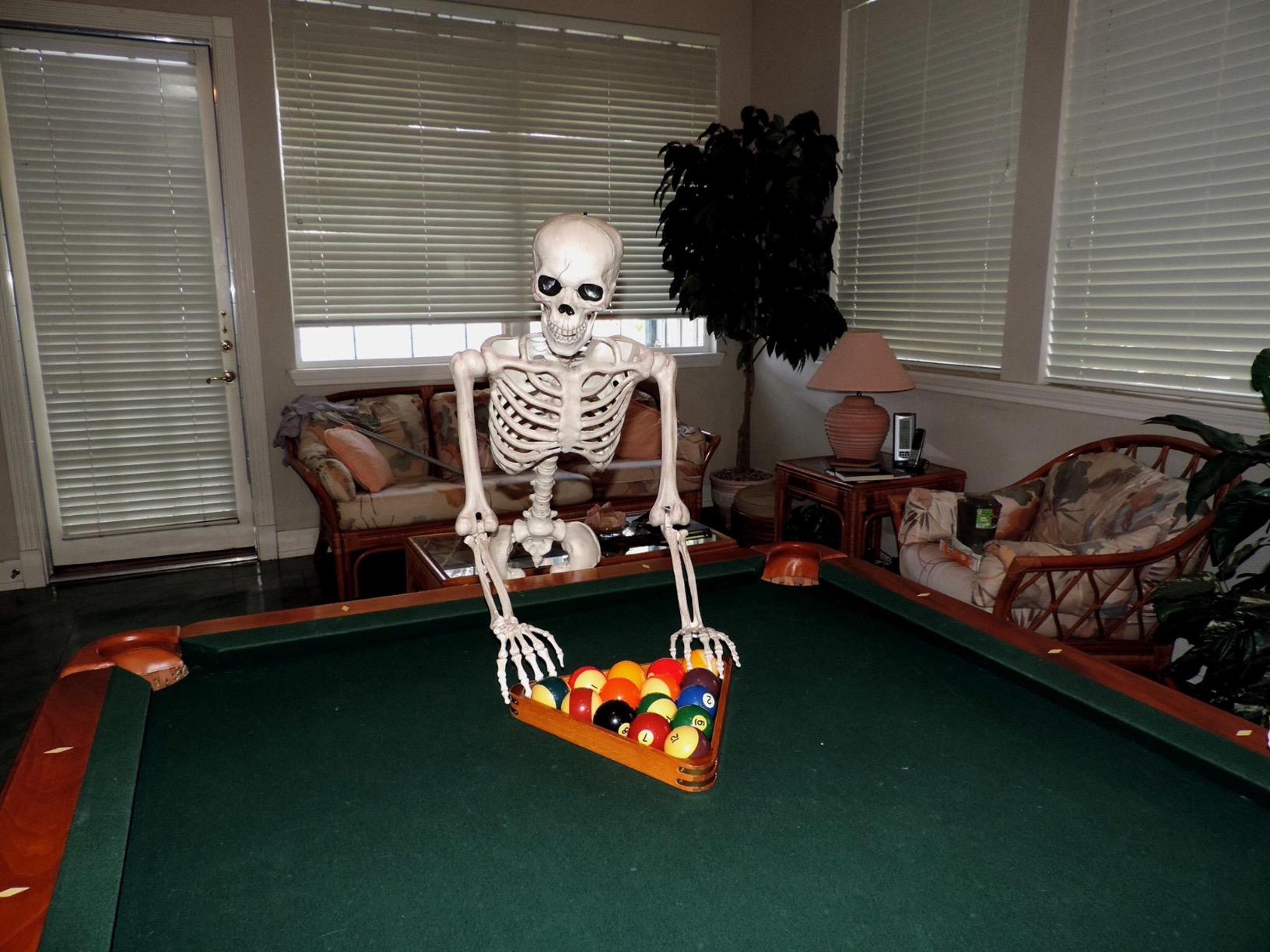 Crazy Bonez Original Pose-N-Stay Halloween Skeleton, 5 FT – Life-Size | Realistic, Fully Poseable Indoor & Outdoor Decoration, Durable Plastic Spooky Prop for Yard, Porch, Haunted House customer photo 1