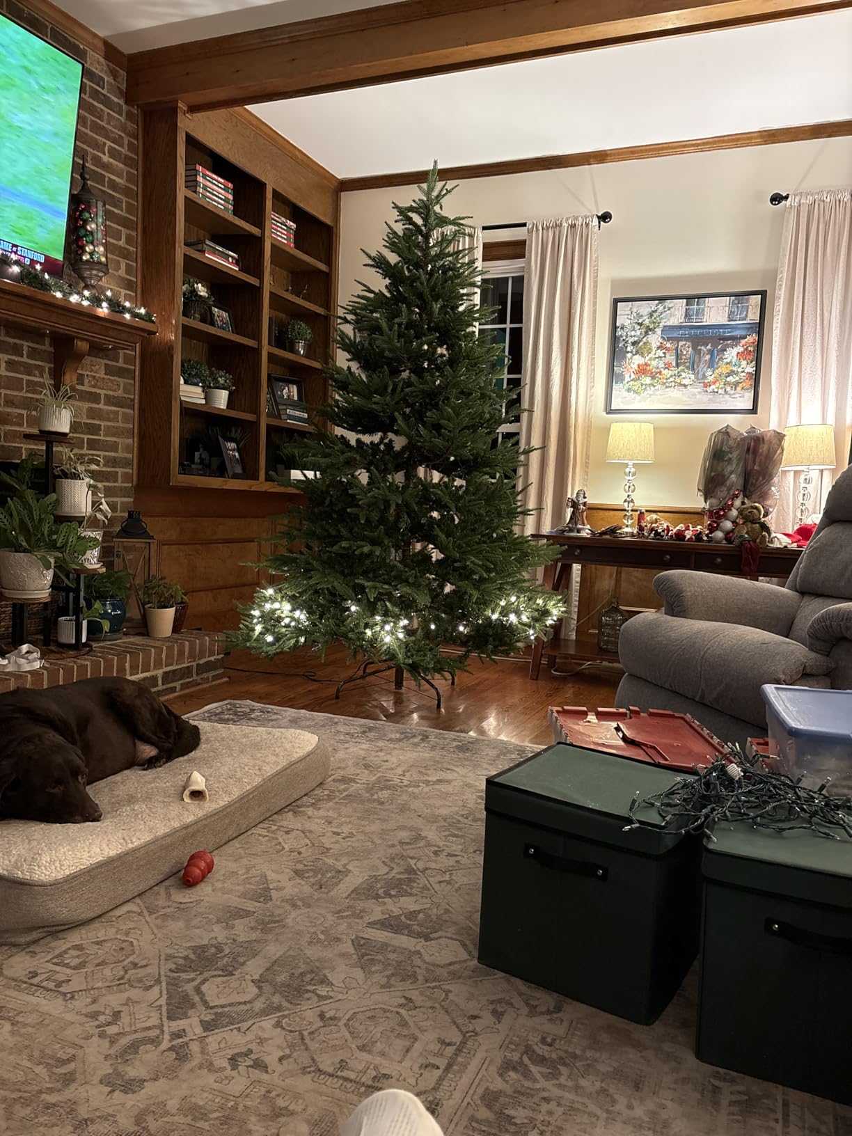 National Tree Company 7.5ft Pre-Lit Fraser Grande Artificial Christmas Tree | 1,000 Clear Lights, 3,719 Tips, Includes Stand, Green customer photo 2