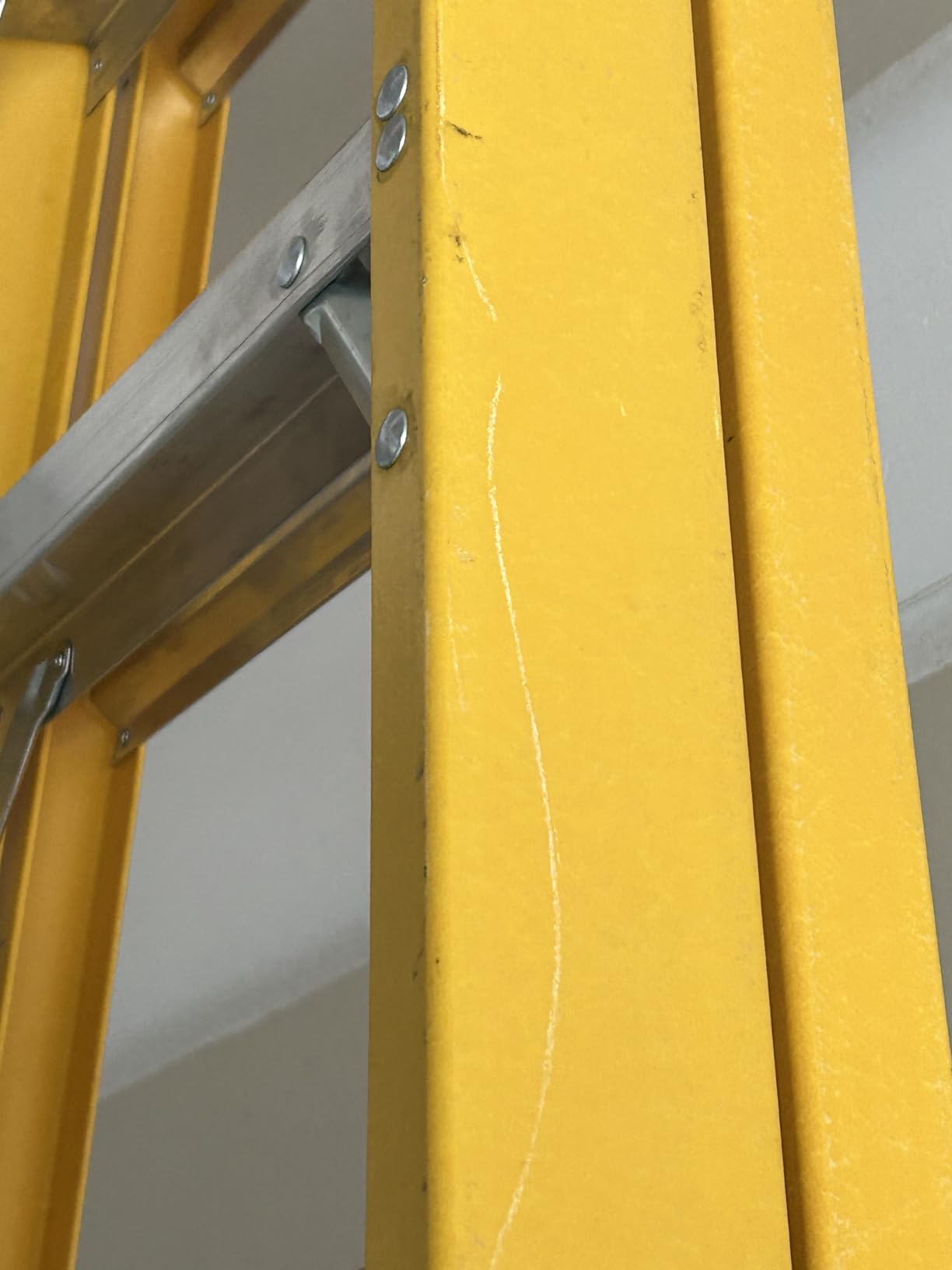 DeWalt Type IAA 375lb Rated FG Stepladder 6' DXL3410-06 customer photo 1