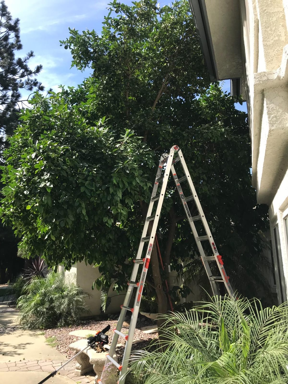 Little Giant Velocity, Aluminum Ladder, 18 ft Reach, 15417-001 customer photo 2