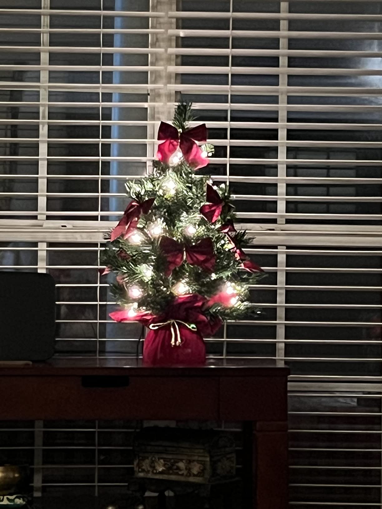 National Tree Company 24in Pre-Lit Majestic Fir Mini Christmas Tree customer photo 2