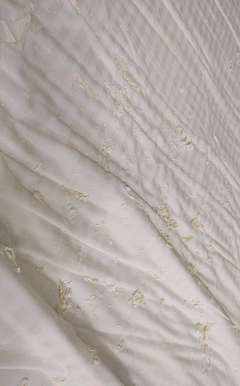 SureGuard Waterproof Mattress Protector, Queen Size Mattress Cover customer photo 2