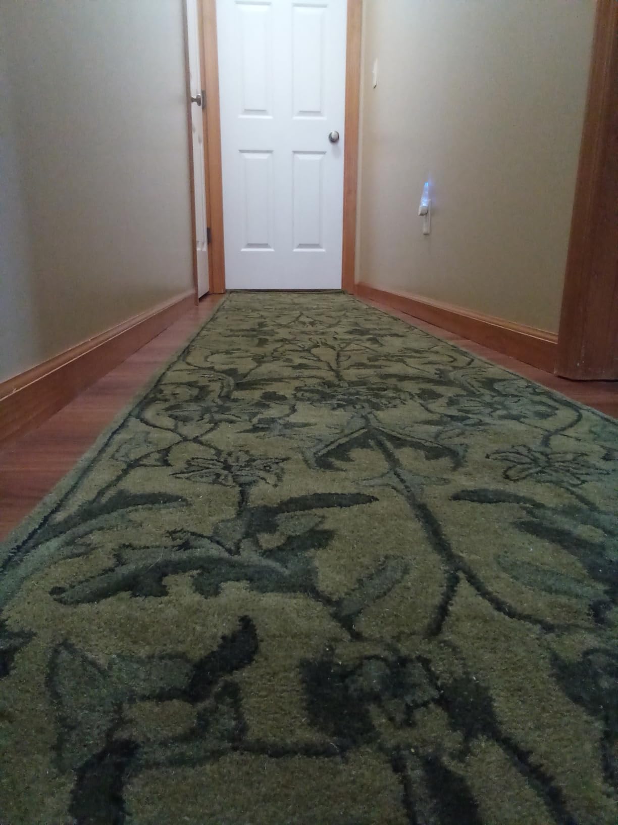 SAFAVIEH Antiquity Collection 6' x 9' Grey/Multi AT824B Handmade Traditional Oriental Premium Wool Area Rug customer photo 1