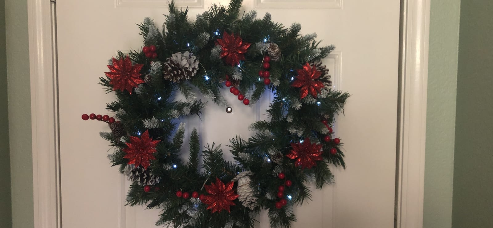 National Tree Company 24in Unlit Frosted Berry Artificial Christmas Wreath | 180 Tips, Pinecones, Green customer photo 1