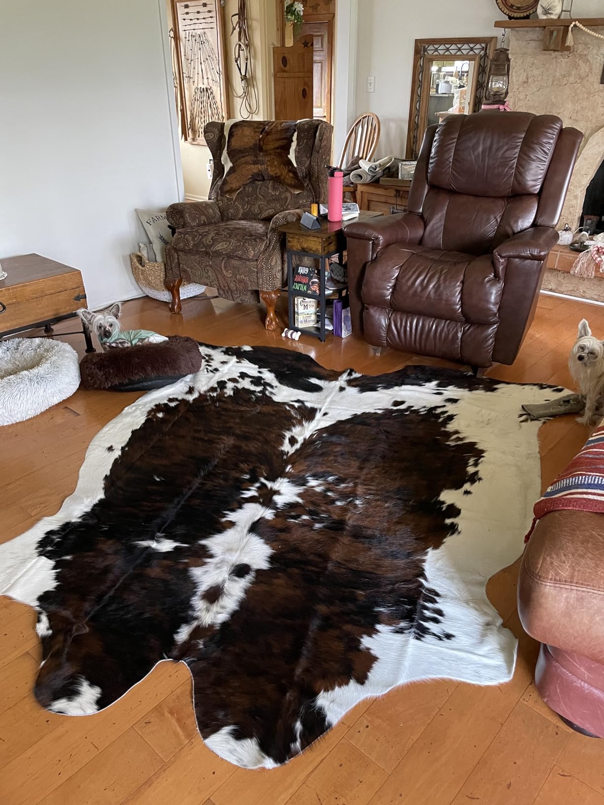 Genuine Tricolor Cowhide Rug Large 8x10 Area Fit (Rug Approx 6x7 ft)– Vibrant One-of-a-Kind Hide, Eco-Friendly, Safe for Kids & Pets, Easy to Clean Perfect for Living Rooms Western Rustic Home Décor customer photo 1
