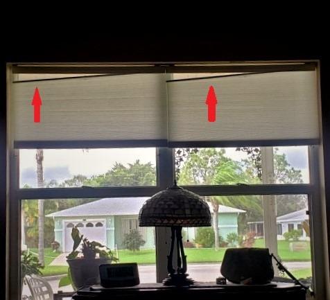 Cordless Cellular Pleated Shades, 27 x 64 in, White, Light Filtering customer photo 1