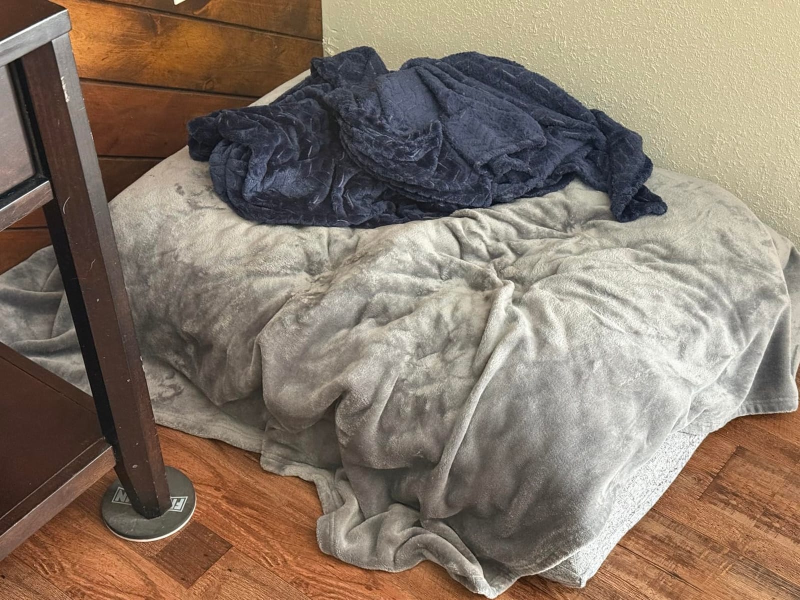 Bedsure Soft Fleece Throw Blanket for Couch Grey - Lightweight Fuzzy Cozy Halloween Decorations Blankets and Throws for Sofa, Couch, Travel, Camping, 50x60 inches customer photo 1