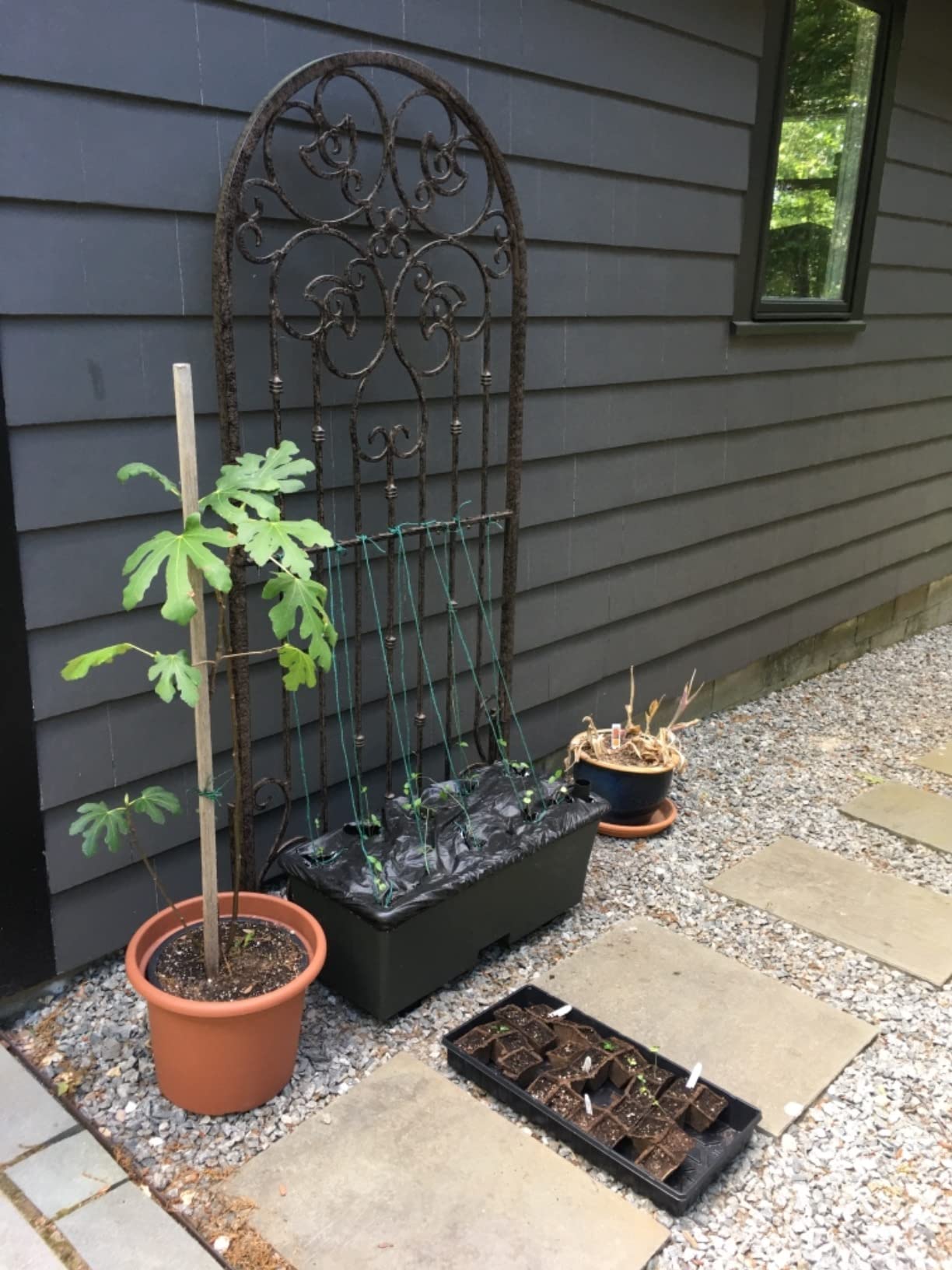 H Potter Garden Trellis - 72