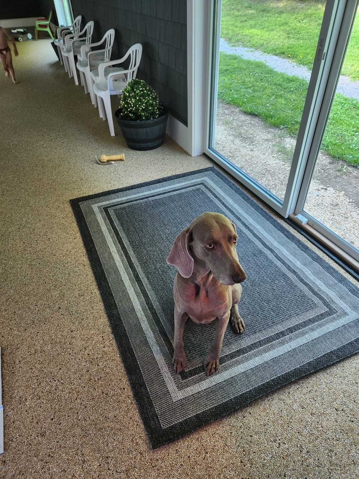 Unique Loom Outdoor Border Collection Area Rug - Soft Border (4' 1