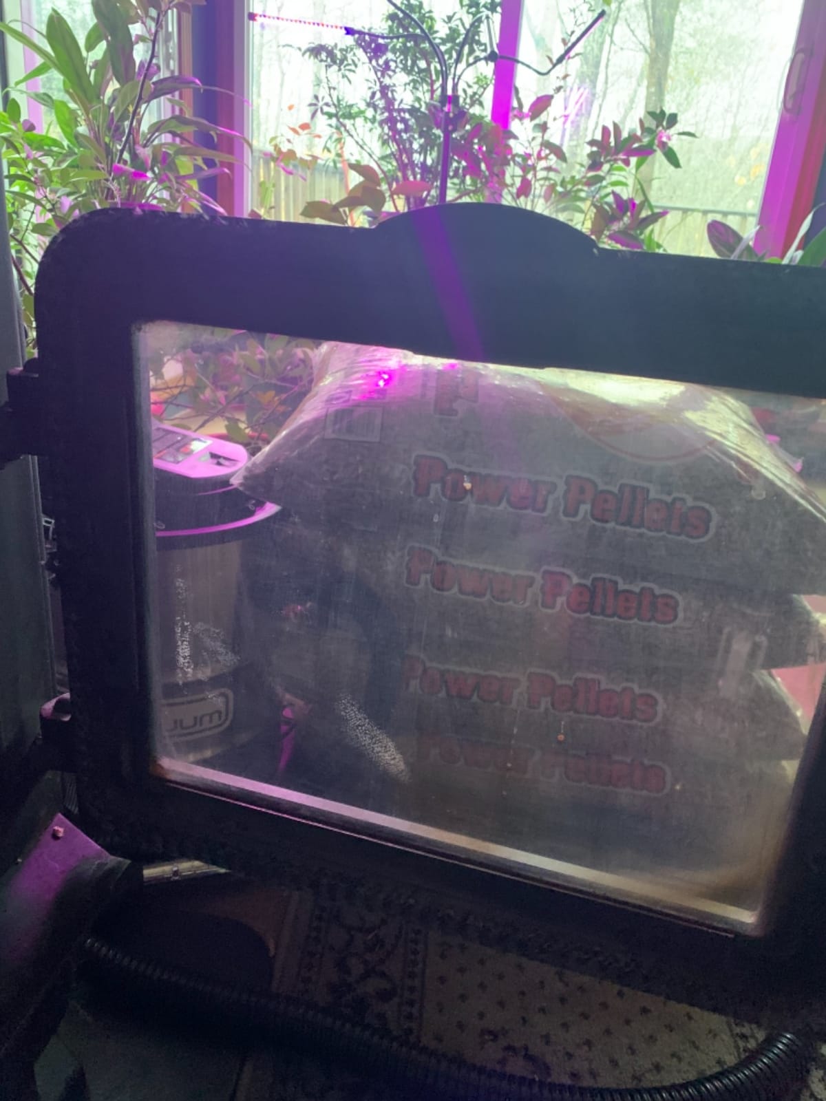 POWERSMITH Ash Vacuum 10 Amp 4 Gallon Vacuum and Blower PAVC102 customer photo 2